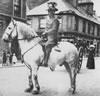 Horse Regiment Officer in Dunkeld